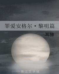 罪爱安格尔·黎明篇小说封面